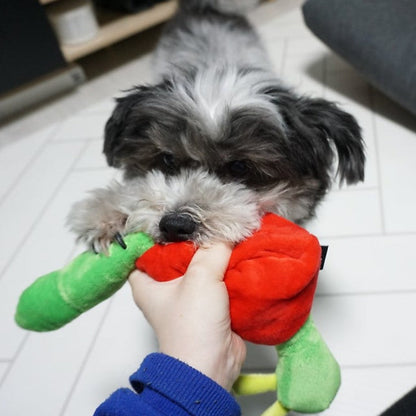 🍎Apple Worm Nosework Tug Toy