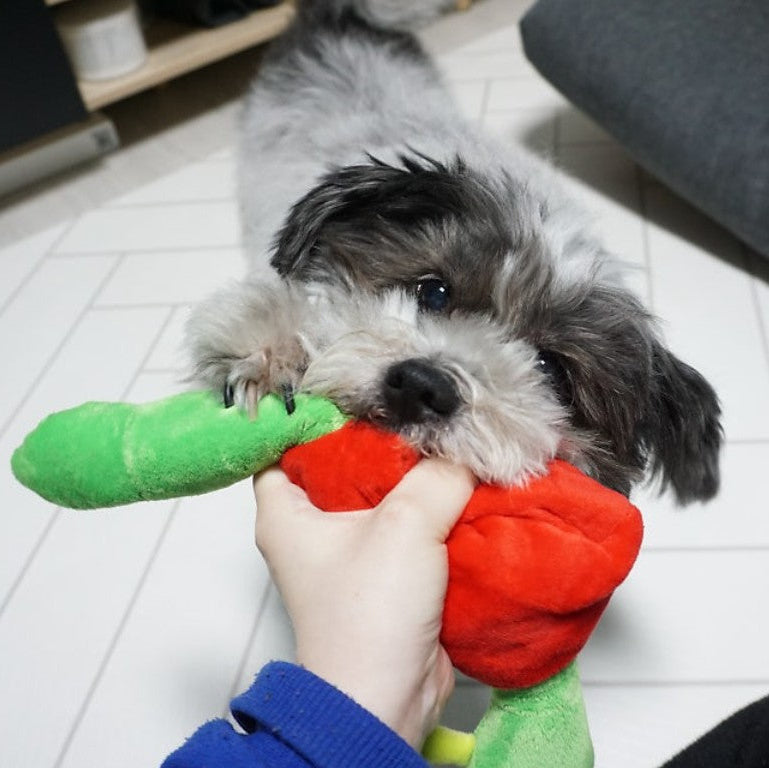 🍎Apple Worm Nosework Tug Toy