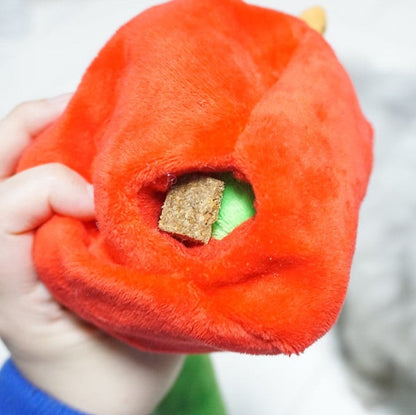 🍎Apple Worm Nosework Tug Toy