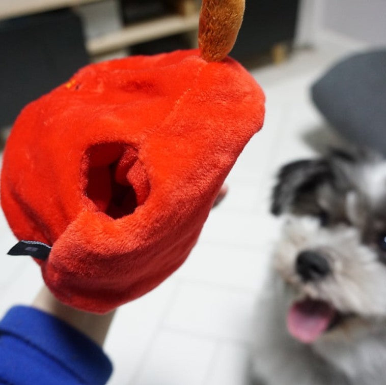 🍎Apple Worm Nosework Tug Toy