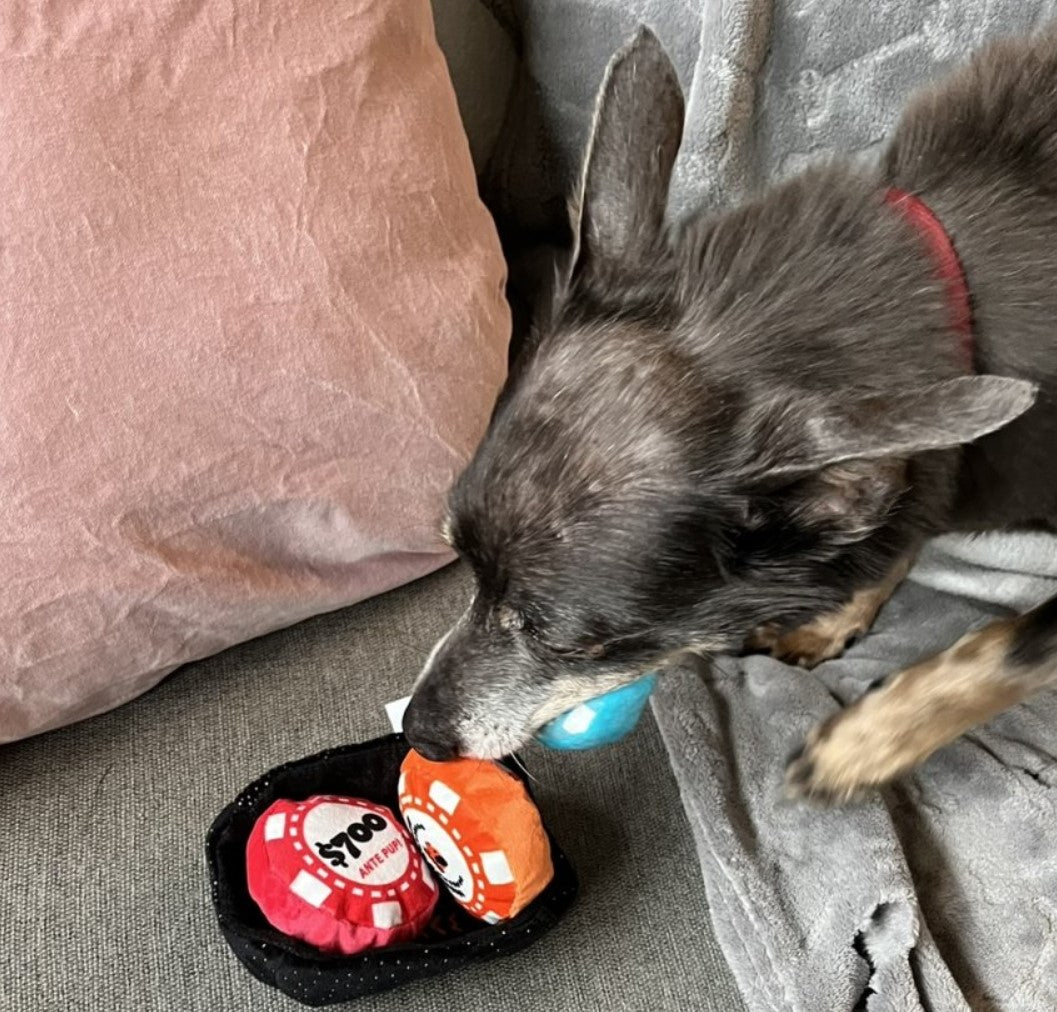 🎰 Ante Pup Chips Plush Toy