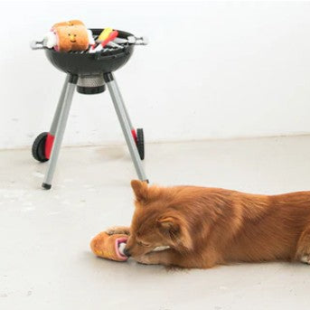 🍖BBQ Nosework Toy