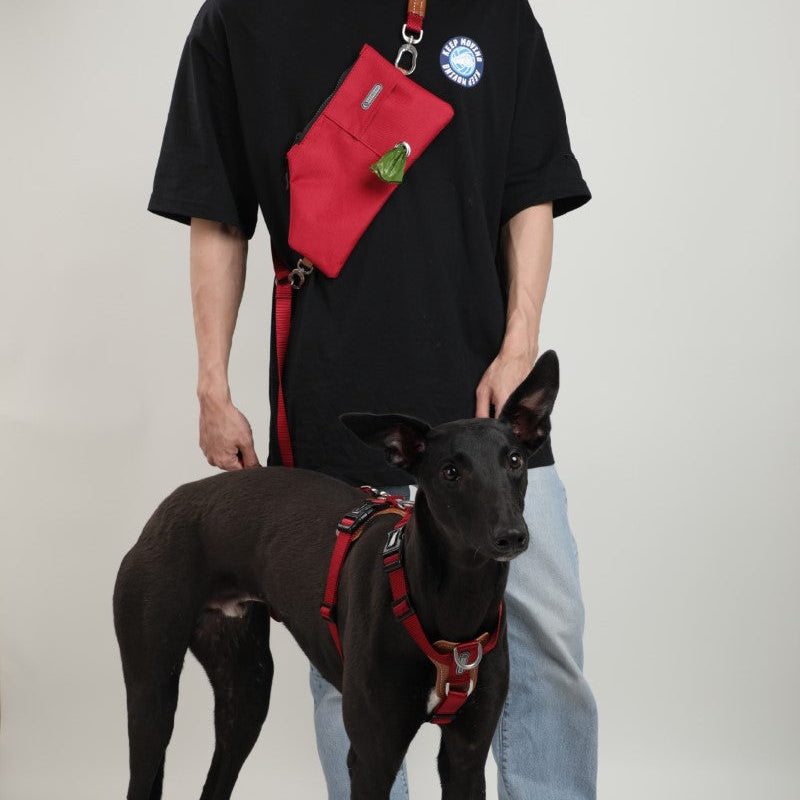 Person wearing a black shirt with a red bag and a dog wearing a red harness on a plain background