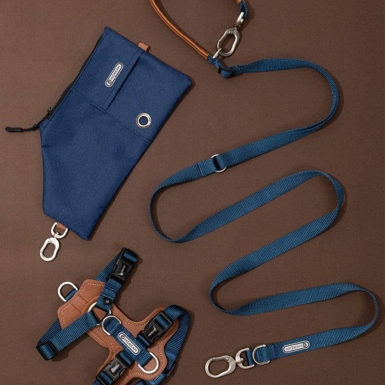 Blue dog leash and harness set on a brown background