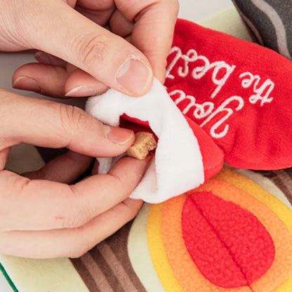 🎄 Christmas Playbook Nosework Toy