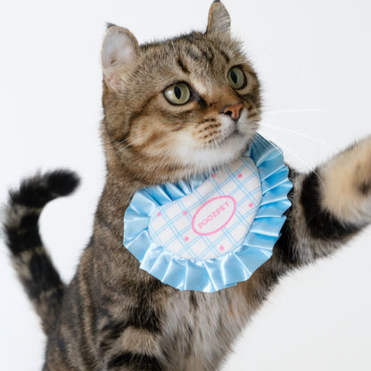 🎂 Birthday Snuffle Gift Box Set