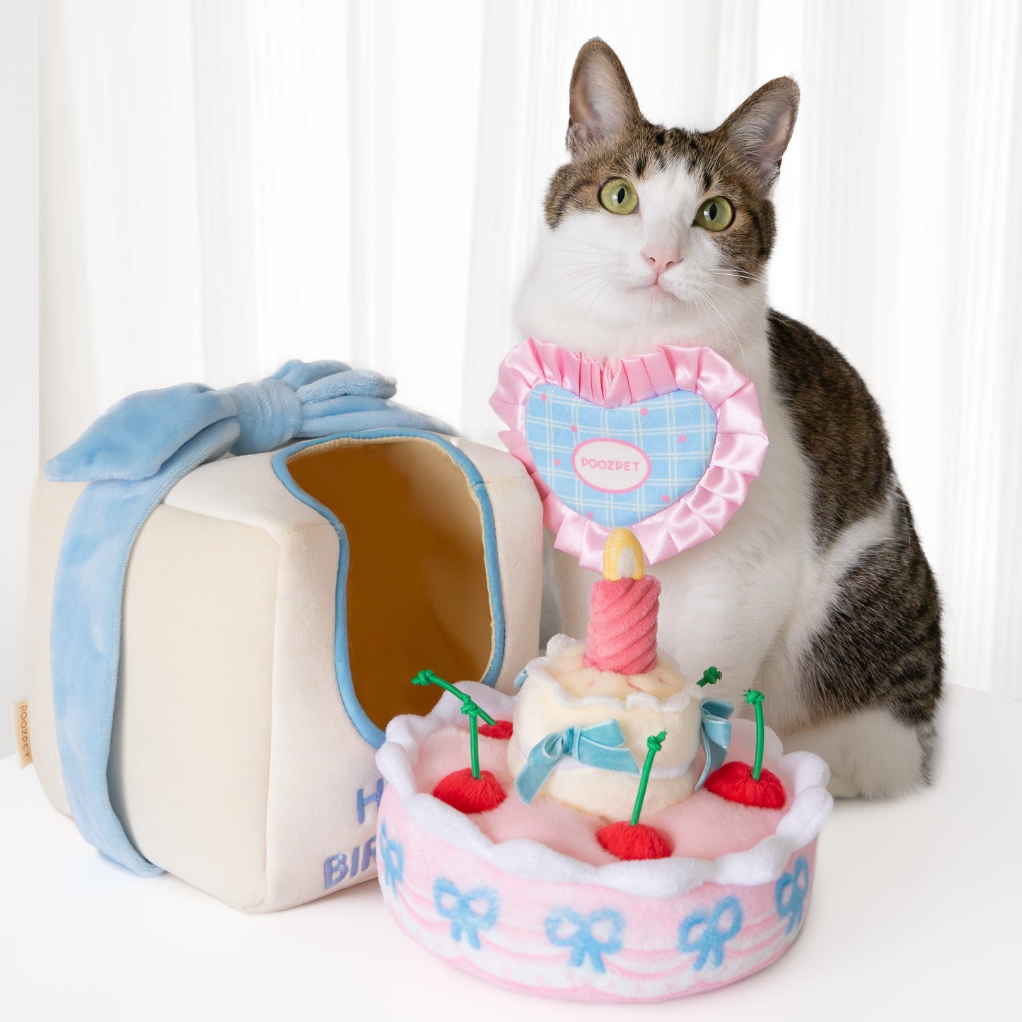 🎂 Birthday Snuffle Gift Box Set