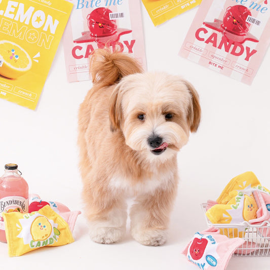 🍋 Fruity Candy Squeaky Toy 🍒