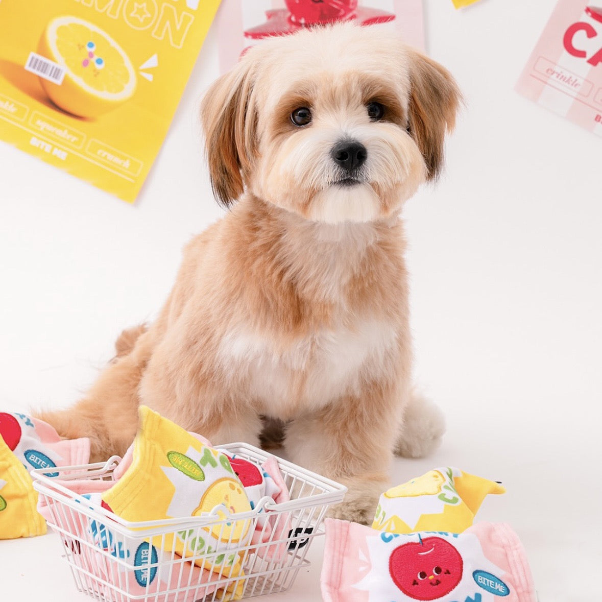 🍋 Fruity Candy Squeaky Toy 🍒
