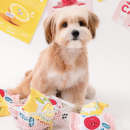 🍋 Fruity Candy Squeaky Toy 🍒