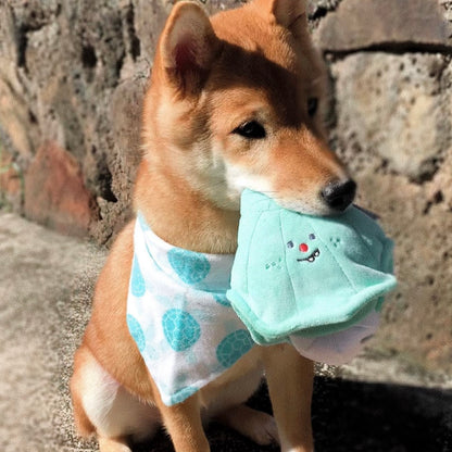 🐚 Shell and Pearl Sniffing Toy