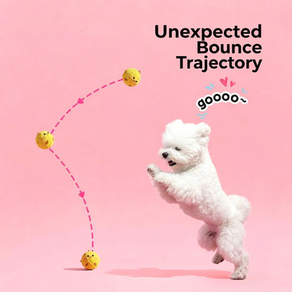 🐥Furry Friends Squeaky Chew Balls Set [3 pcs]