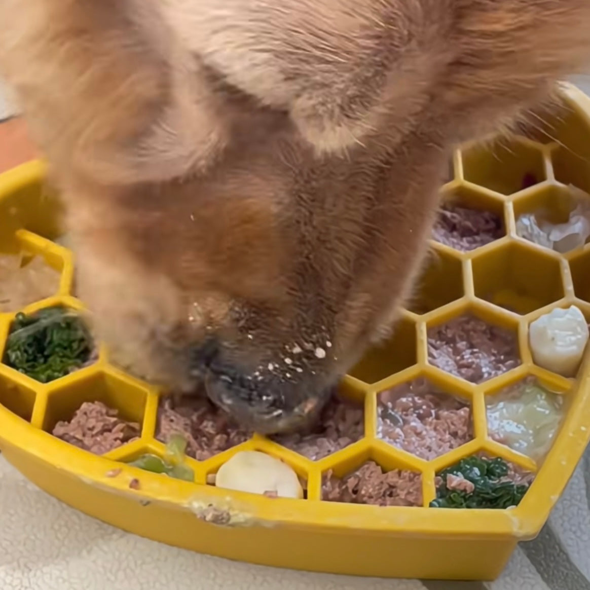 Heart-Shaped Slow Feeder [Yellow]