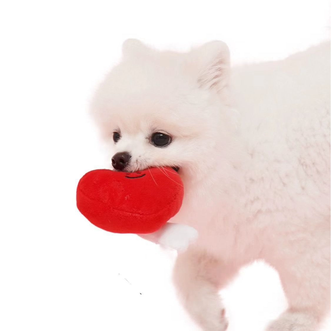 ❤️ Heart & Bacon Bone Squeaky Plush Toy Set 🦴