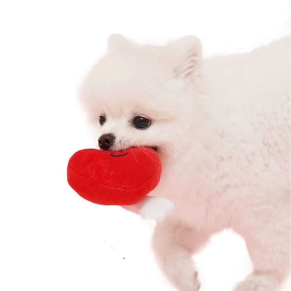 ❤️ Heart & Bacon Bone Squeaky Plush Toy Set 🦴