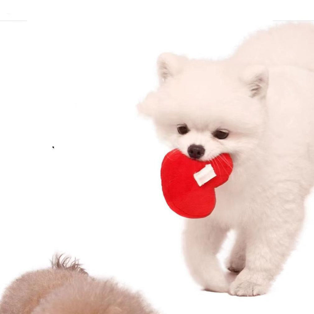 ❤️ Heart & Bacon Bone Squeaky Plush Toy Set 🦴
