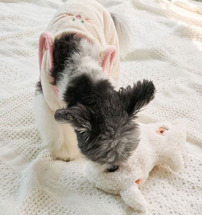 🐶Little Doggy Treat-hiding Nosework Toy