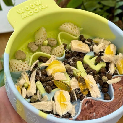 🐰WOOW Moon Silicone Slow Feeder Pet Bowl [Mint Green]🐣
