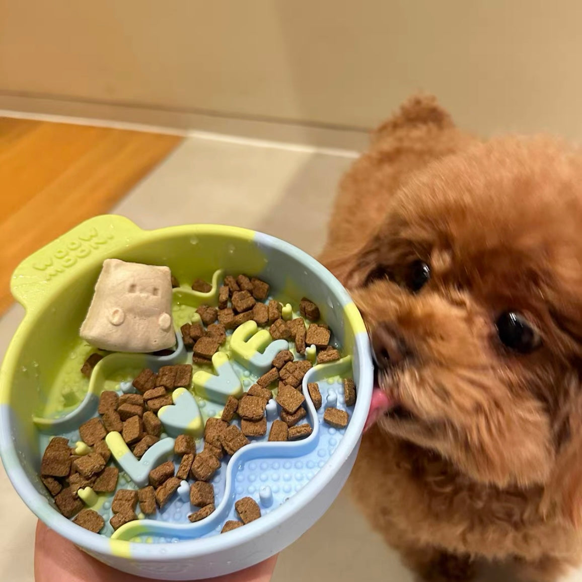 🐰WOOW Moon Silicone Slow Feeder Pet Bowl [Mint Green]🐣
