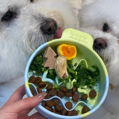 🐰WOOW Moon Silicone Slow Feeder Pet Bowl [Mint Green]🐣