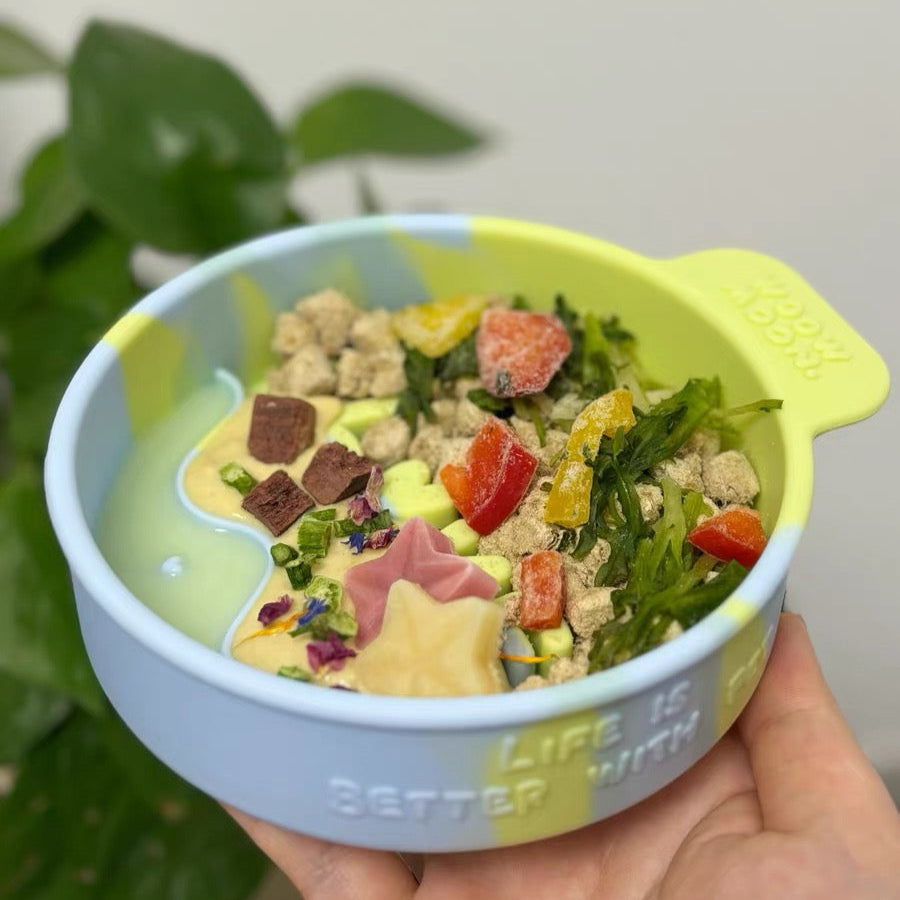 🐰WOOW Moon Silicone Slow Feeder Pet Bowl [Mint Green]🐣