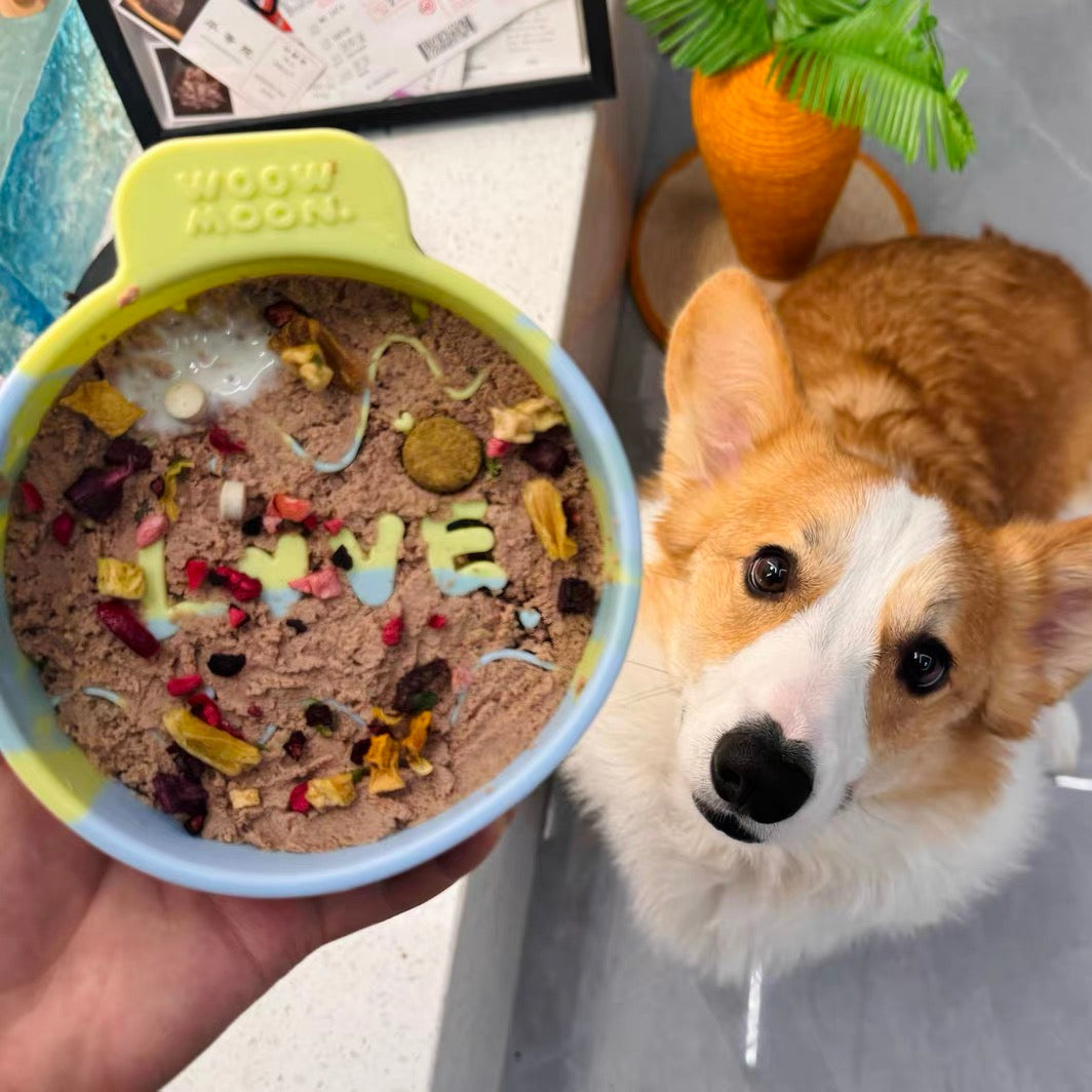 🐰WOOW Moon Silicone Slow Feeder Pet Bowl [Mint Green]🐣