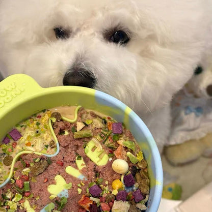 🐰WOOW Moon Silicone Slow Feeder Pet Bowl [Mint Green]🐣