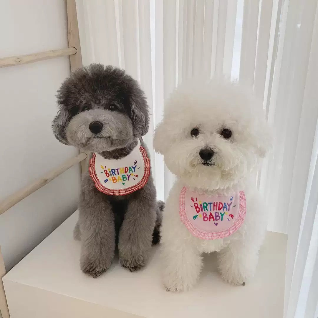 🩷Birthday Baby Bib for Pets [Pink]
