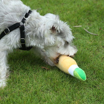 🍺Grrrona Beer Plush Dog Toy