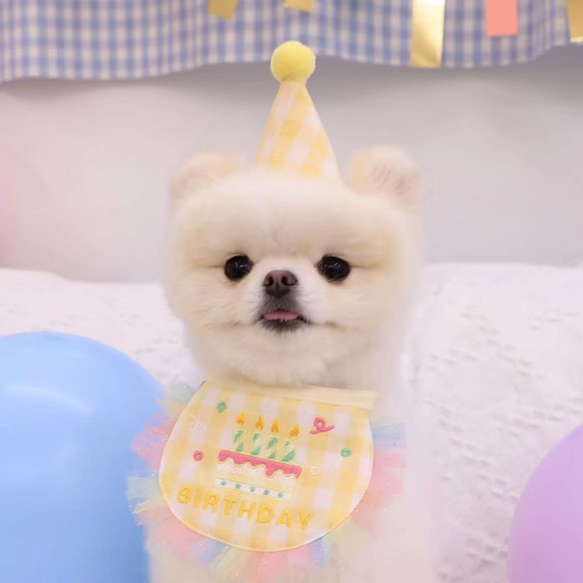 💛Happy Birthday Bib & Hat Set [Yellow]