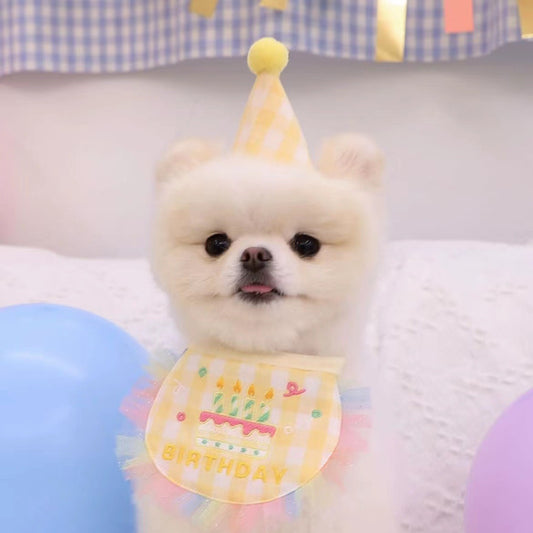 💛Happy Birthday Bib & Hat Set [Yellow]