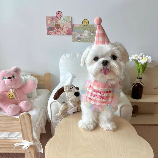 🩷Happy Birthday Bib & Hat Set [Pink]