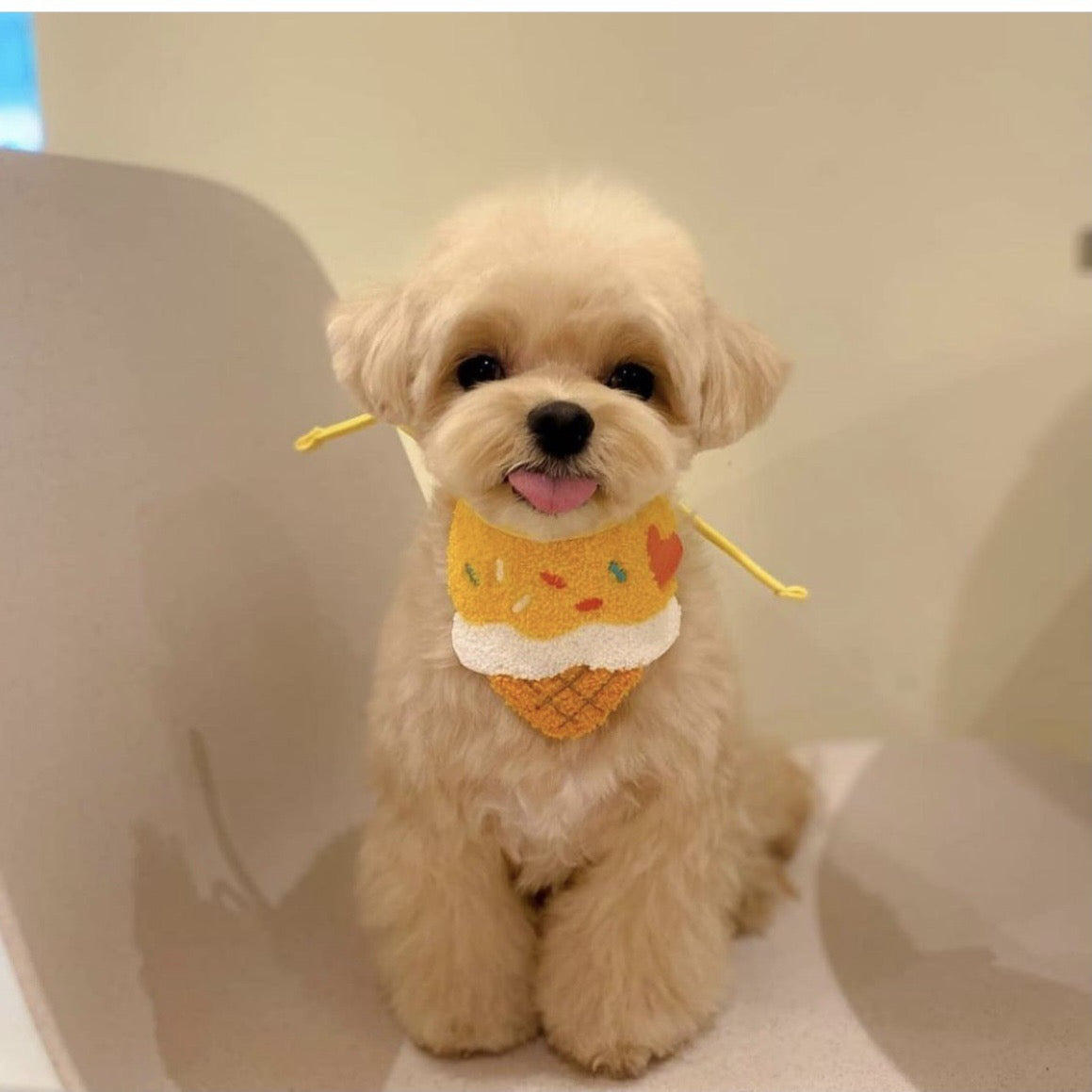 🍦Ice Cream Embroidered Pet Bib [Yellow]