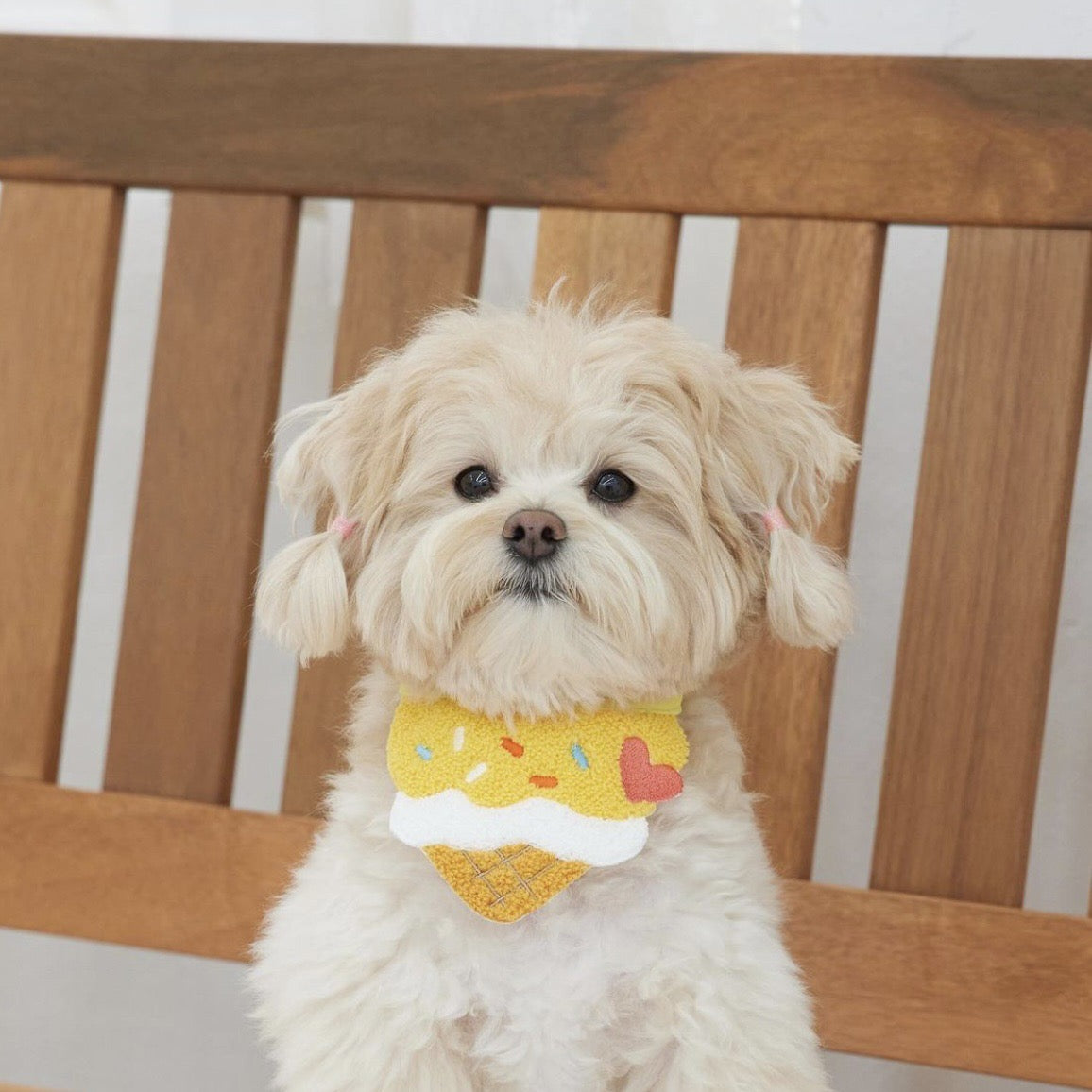 🍦Ice Cream Embroidered Pet Bib [Yellow]