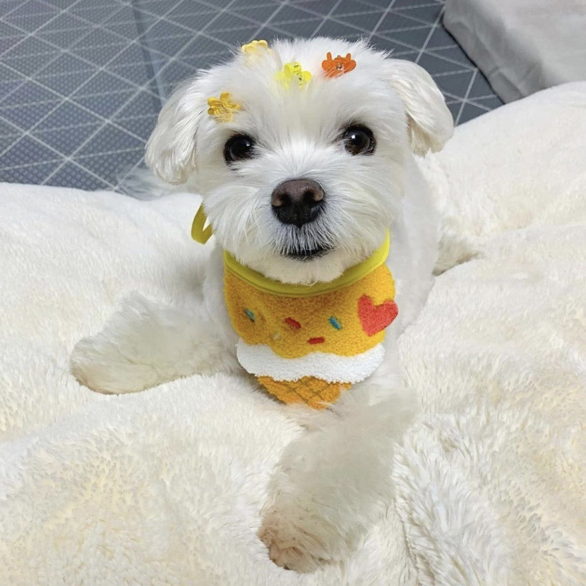 🍦Ice Cream Embroidered Pet Bib [Yellow]
