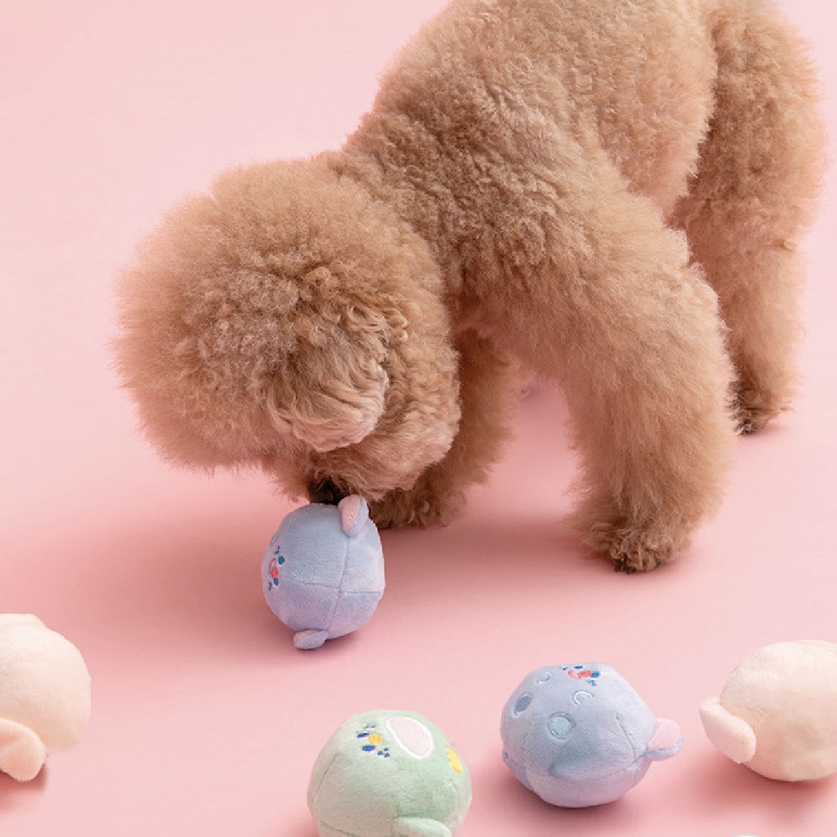 🐰Cute Animal Squeaky Chew Balls Set (3 pcs)