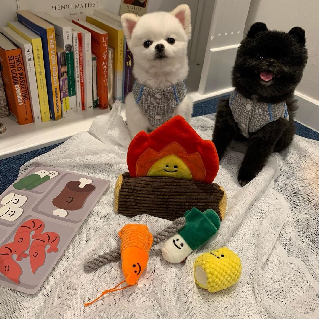 🔥Campfire BBQ Interactive Dog Toy