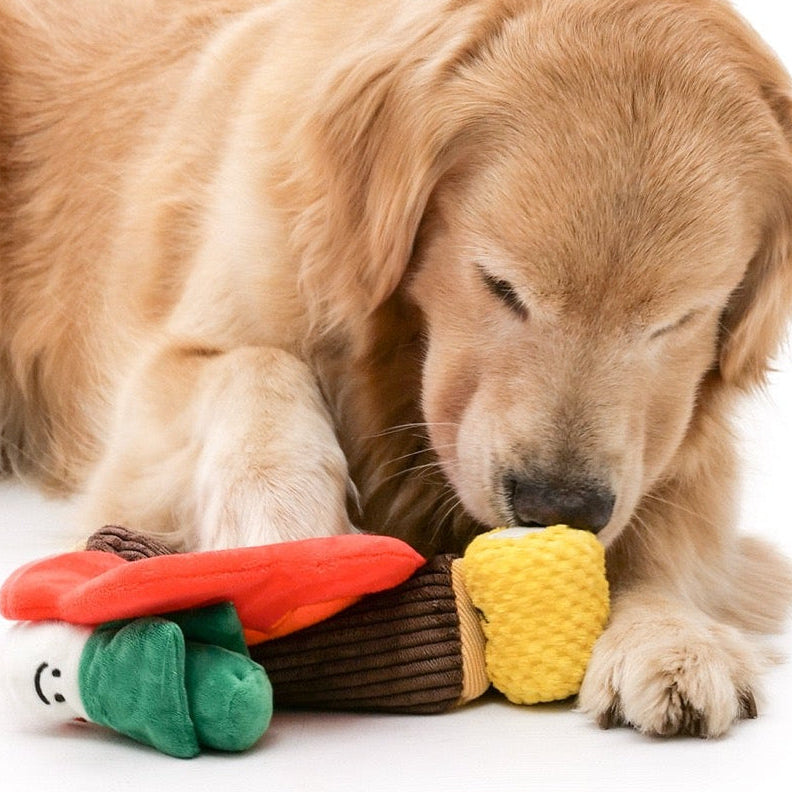 🔥Campfire BBQ Interactive Dog Toy