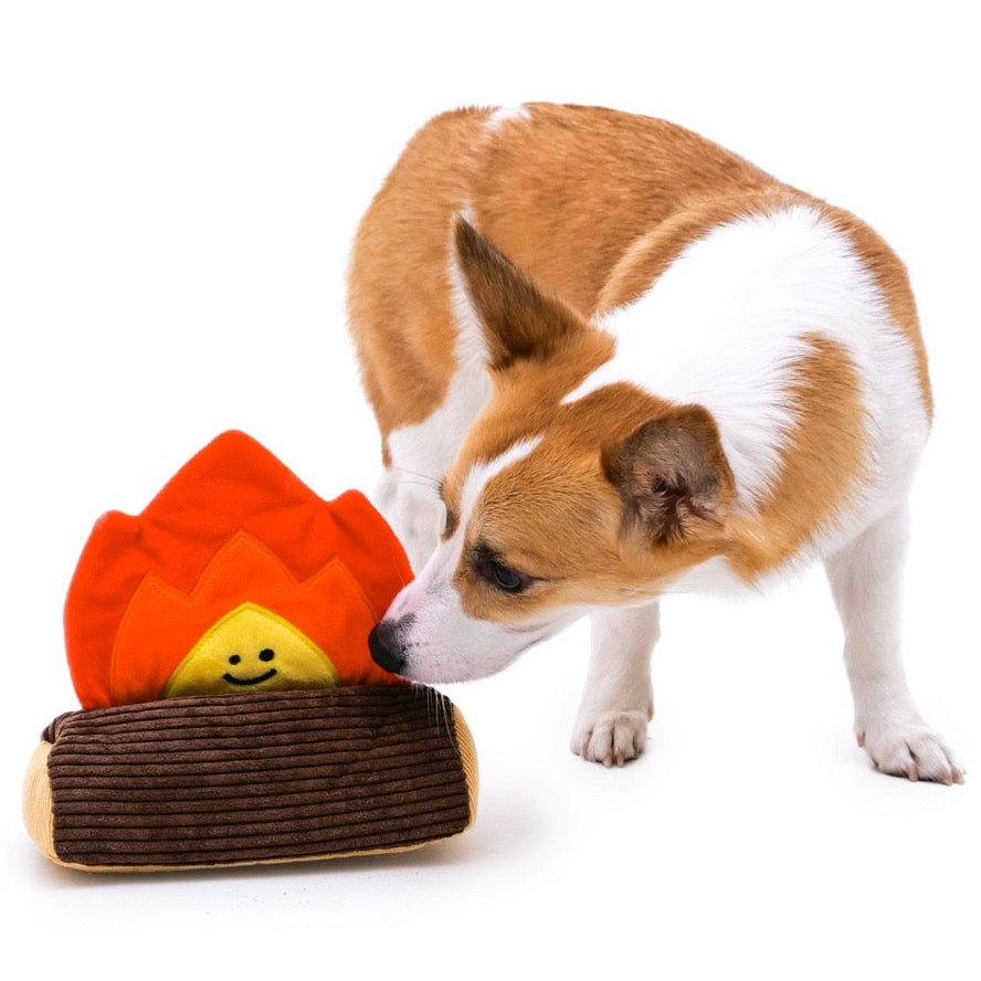 🔥Campfire BBQ Interactive Dog Toy