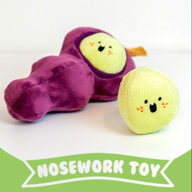 🍇Grape Squeaky Nosework Dog Toy
