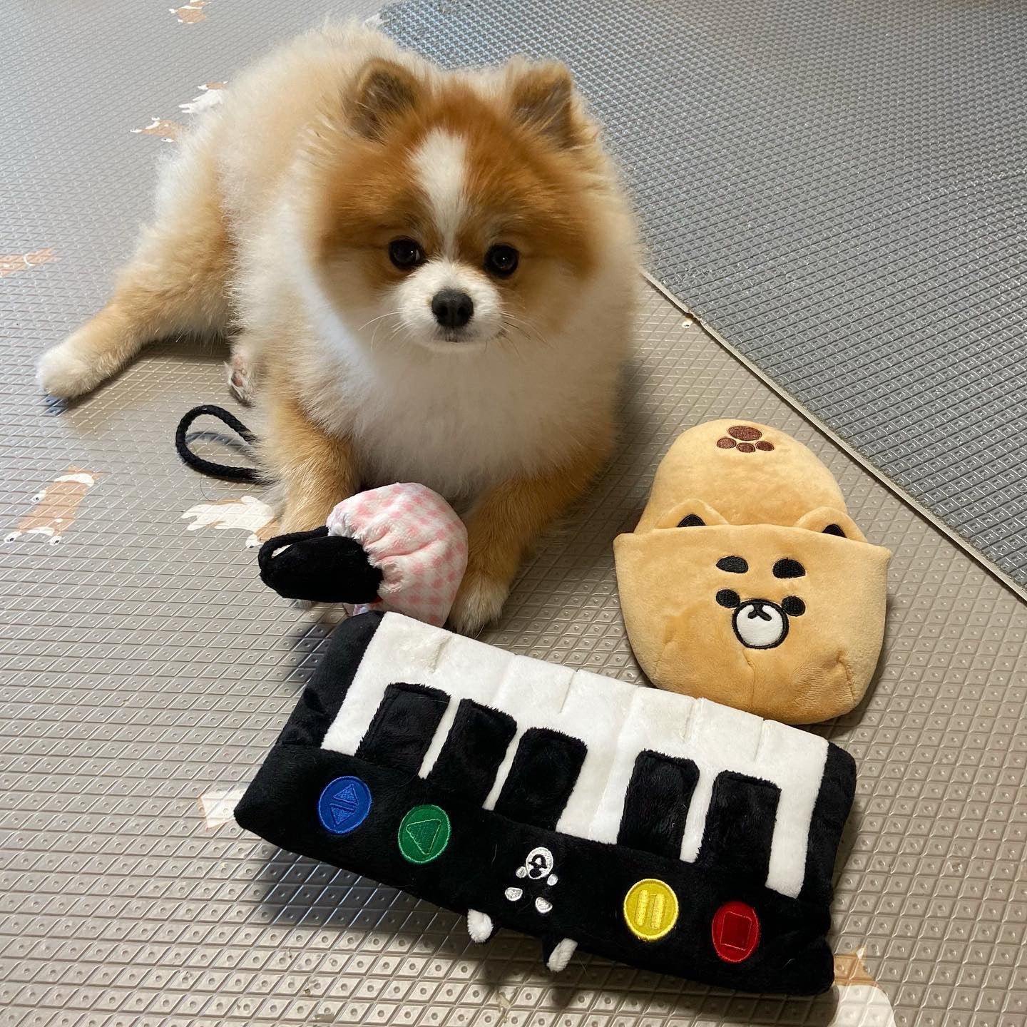 🐶 Shiba Inu Slipper Snuffle Squeaky Toy