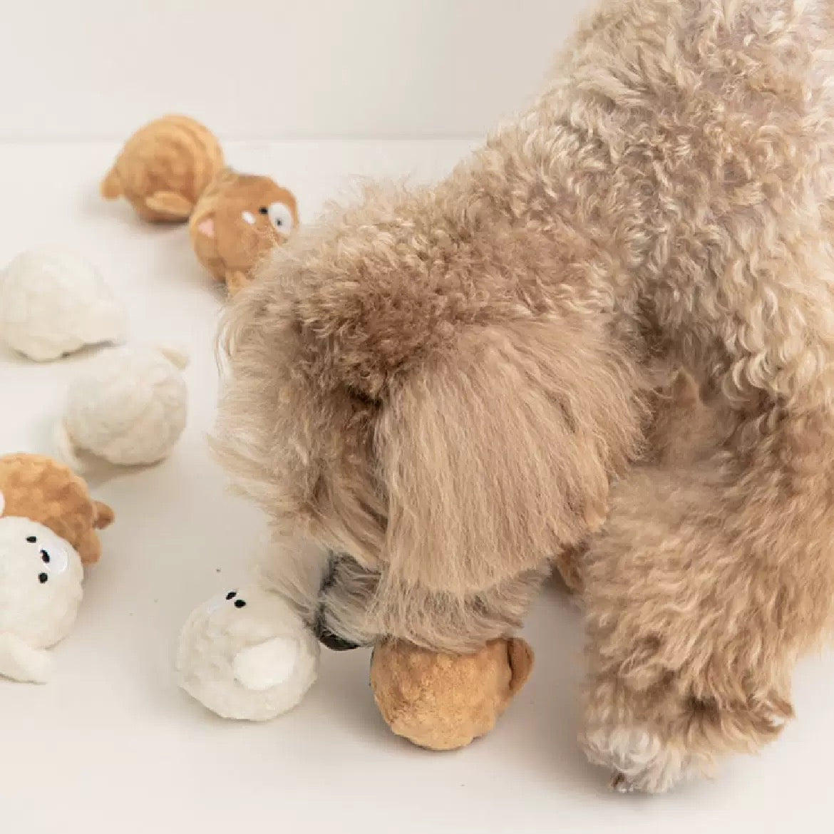 🐶Puppy Spiky Squeaky Chew Balls Set (2 pcs)