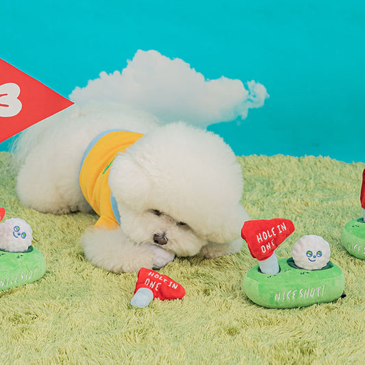 β³ Golf Nosework Toy