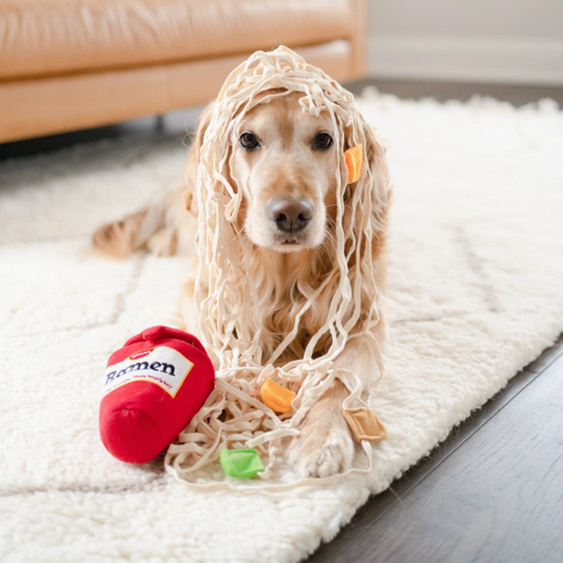 🍜 Ramen Playing Noodle Nosework Toy