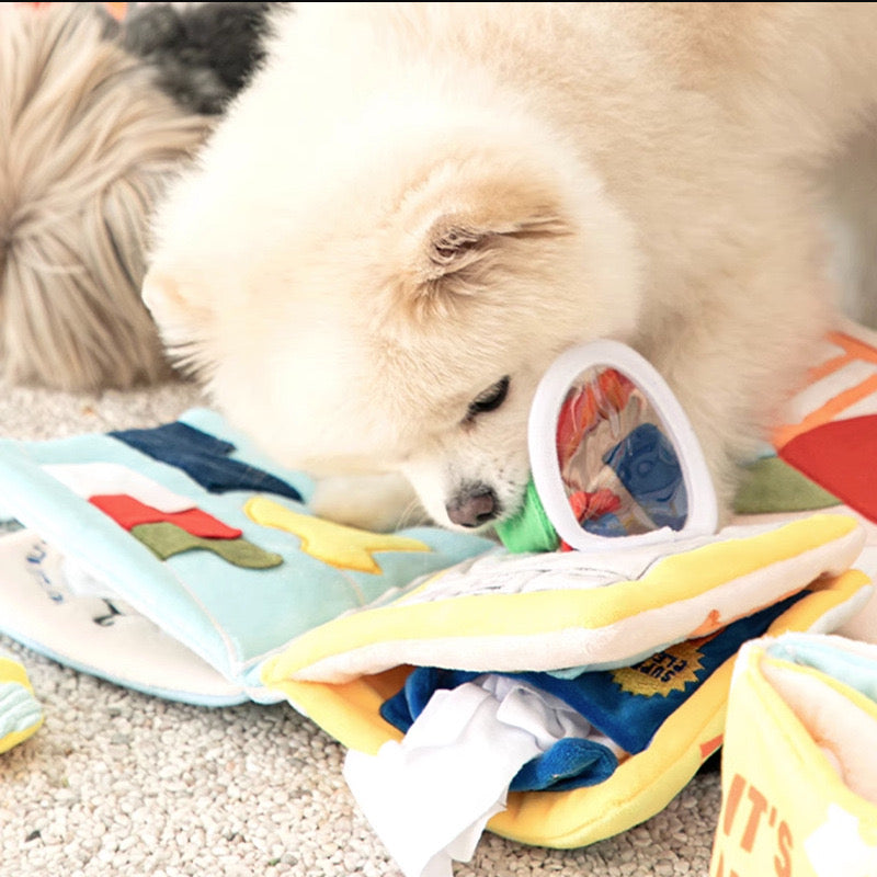 🫧 Laundry Day Nosework Playbook Toy