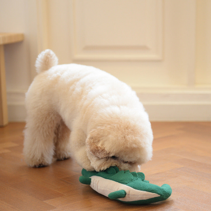 🐊 Lazy Crocodile Nosework Toy