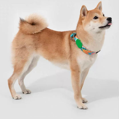 Colorful Pro Series Half P-chain Training Collar [Florida]