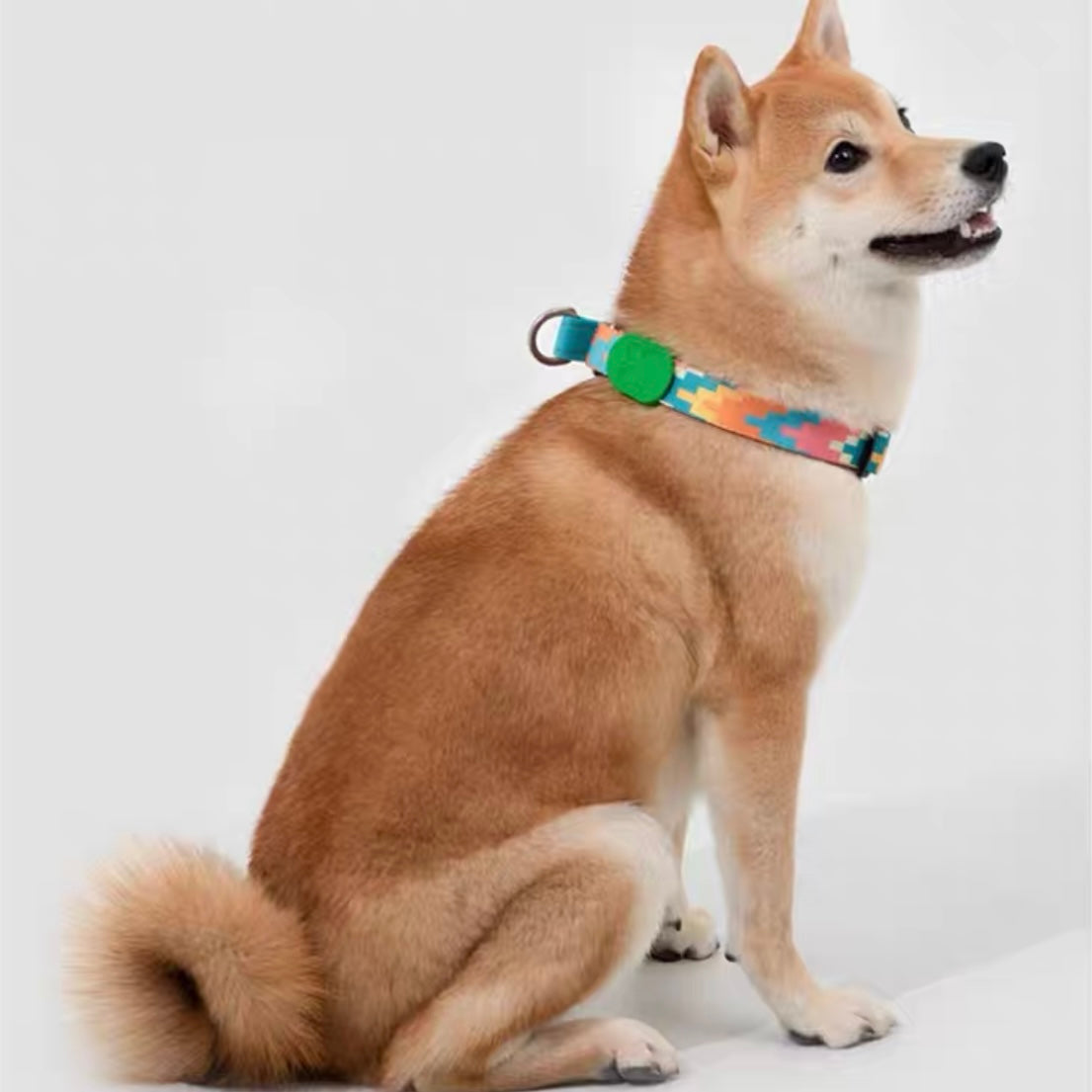 Colorful Pro Series Half P-chain Training Collar [Florida]