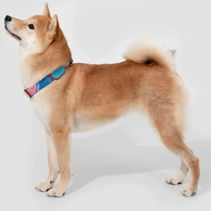 Colorful Pro Series Half P-chain Training Collar [Mountain and River Impressions]