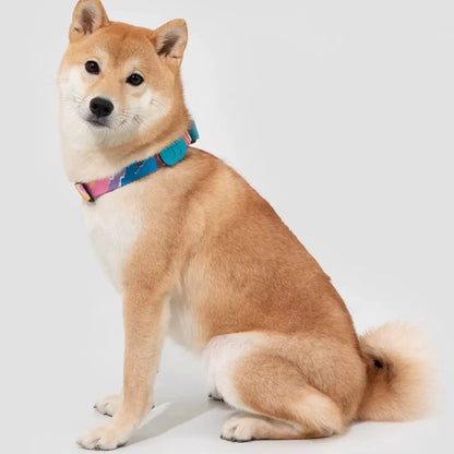 Colorful Pro Series Half P-chain Training Collar [Mountain and River Impressions]